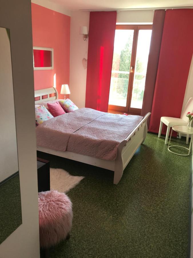 Třeboň Design Hotel Romantick מראה חיצוני תמונה